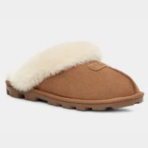Ugg Slippers
